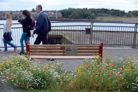 The South Tyneside Green Party has tabled a motion which aims to strength men's mental health services in the borough.