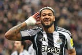 Joelinton celebrates scoring in the Champions League against Qarabag.