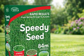 A £14 box of lawn seed is out-selling every other garden product on Amazon at the moment