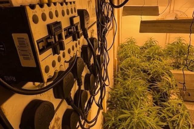Once inside the property, police discovered that the electricity supply had been bypassed.