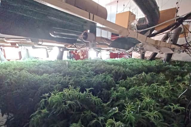 Police have uncovered an industrial-sized cannabis farm in the former Raffles Bar building, on Ocean Road, in South Shields.