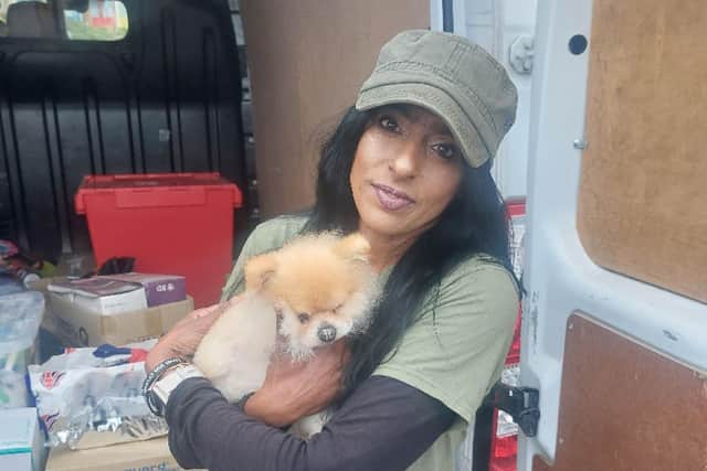 Washington woman Vijay Kritzinger pictured holding Ewok - one of 171 dogs rescued in a 2021 mission led by former Royal Marine Pen Farthing to evacuate staff and rescued animals from his Nowzad charity in Kabul, Afghanistan.