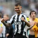 Newcastle United captain Bruno Guimaraes. 