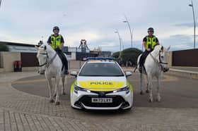 Police horses Poppy and Penshaw were on patrol at the South Shields seafront last week.