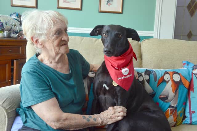 Dog lover Linda Tuffield's dog Luna is one of the few dogs in the country to give blood regularly.