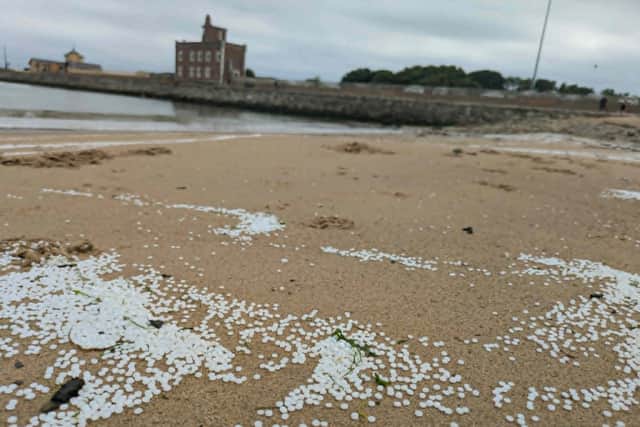 Plastic pellets have washed up on Littlehaven Beach in South Shields.