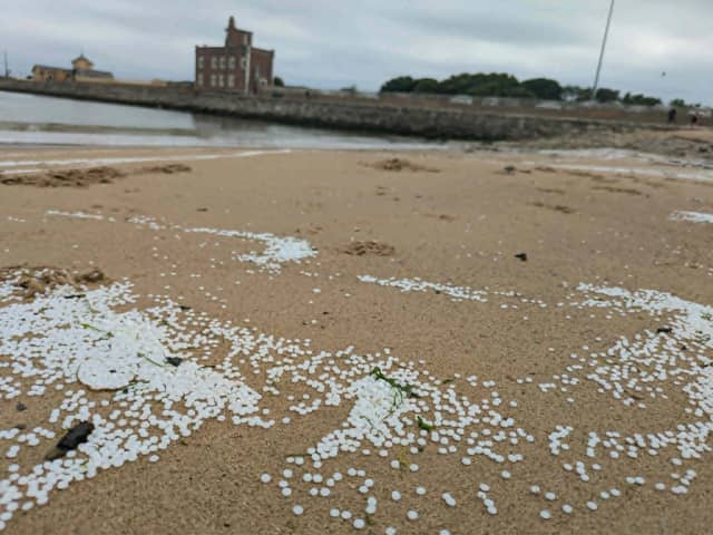 Plastic pellets have washed up on Littlehaven Beach in South Shields. 