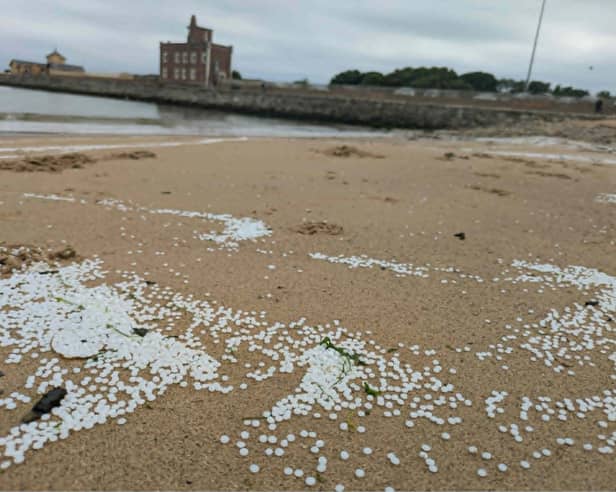 Plastic pellets have washed up on Littlehaven Beach in South Shields. 