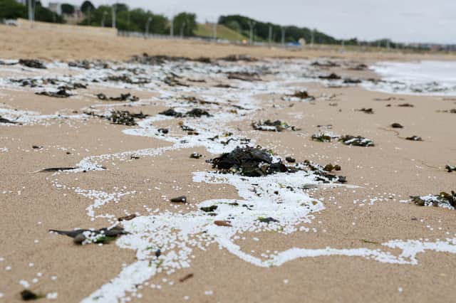 Little Haven Beach South Shields, showing the white plastic pellets.