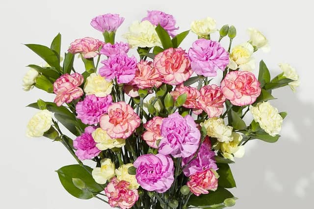 Summer Cascade Letterbox flowers