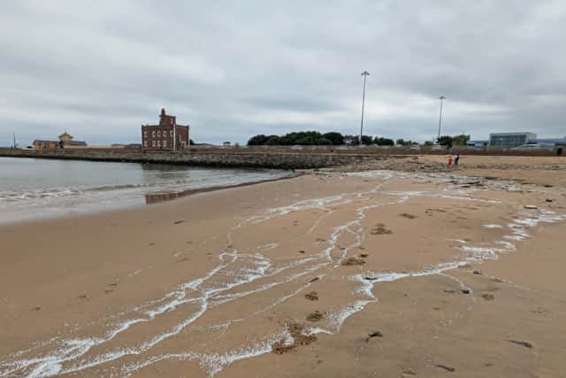 Plastic pellets on Littlehaven Beach