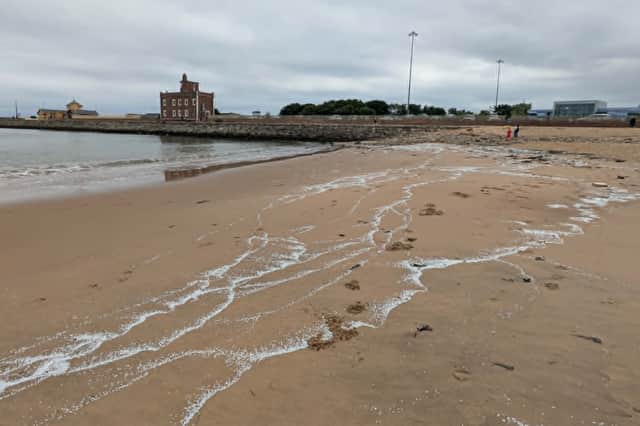 Plastic pellets on Littlehaven Beach
