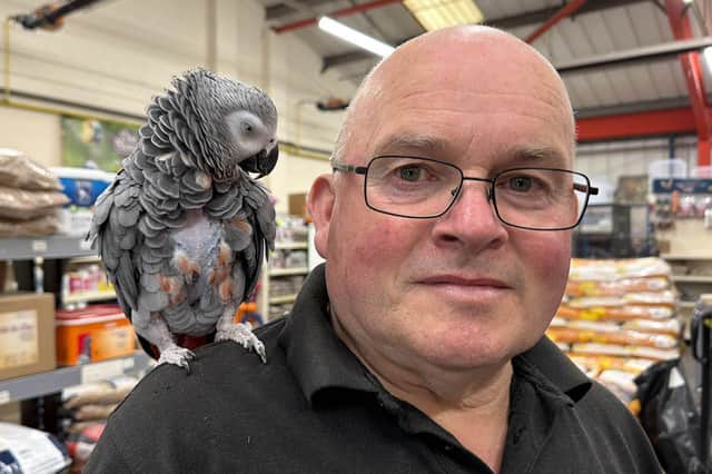 Billy Tate, of Boldon-based Garden Feathers, with Jimmy the African Grey Parrot.