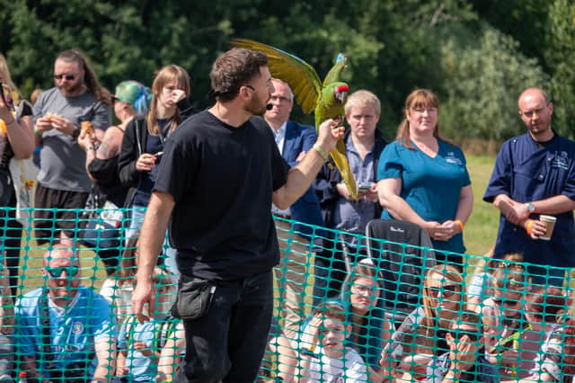 The Tropical Bird Show features experts talking about exotic birds, a free-flight display, and more.