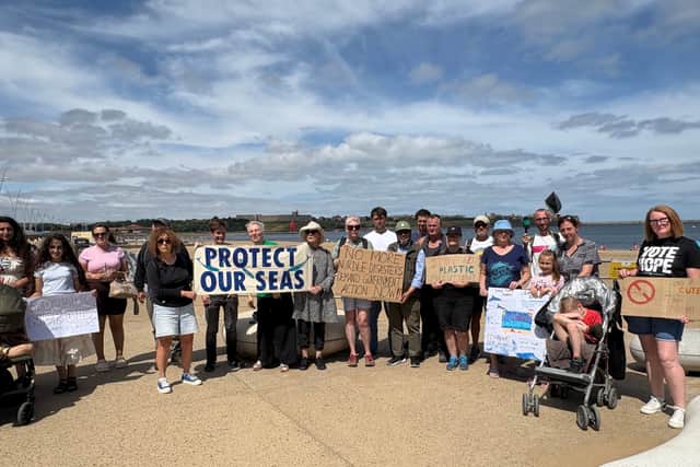 Environment activists are calling for the government to legislate for tighter controls over the handling and transportation of nurdles. It follows a huge plastic spill into the River Tyne.