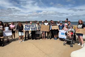 Environment activists are calling for the government to legislate for tighter controls over the handling and transportation of nurdles. It follows a huge plastic spill into the River Tyne.