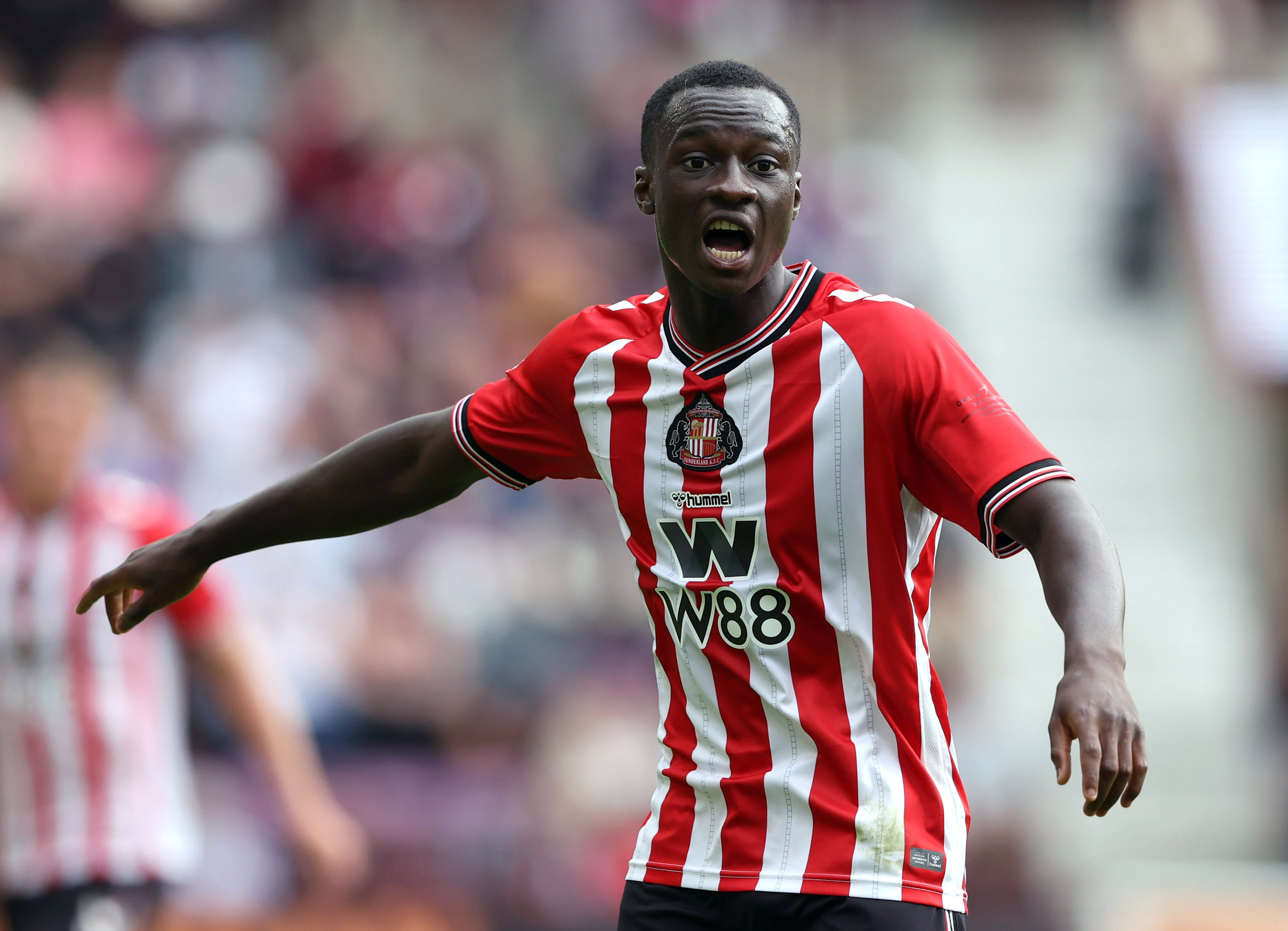 Régis Le Bris details Habib Diarra injury blow ahead of Brentford and ...