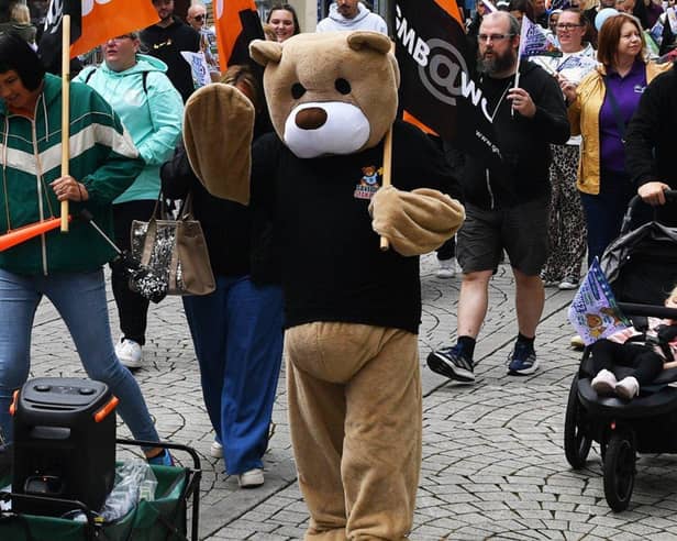 The Save Our Stanley's campaign has launched a South Tyneside-wide bear hunt.