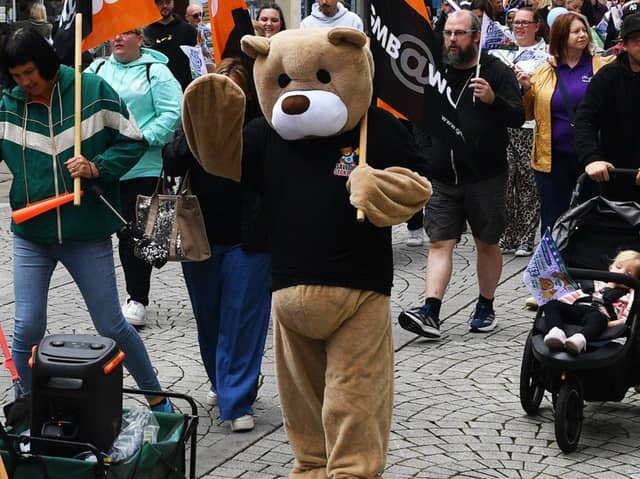 The Save Our Stanley's campaign has launched a South Tyneside-wide bear hunt.