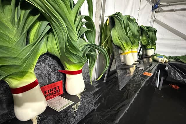 The Monkton Leek, Vegetable and Flower Show is set to return for its 163rd year.