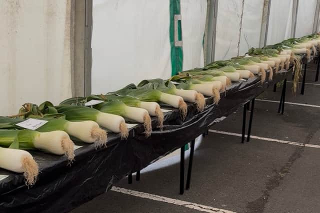 A section of the leeks there were entered into the show.