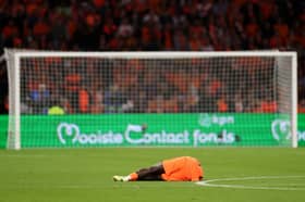 Brian Brobbey of the Netherlands reacts after picking up an injury against Germany (Photo by Lars Baron/Getty Images)