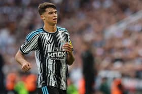 Lewis Miley of Newcastle United is seen during the Premier League 2026/27 match between Newcastle United and Hull City at St James' Park on September 19, 2026 in Newcastle upon Tyne, England. (Photo by Ian MacNicol/Getty Images)
