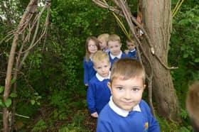 The pupils were taking a first look around the new school forest when this Shields Gazette photo was taken in 2017.