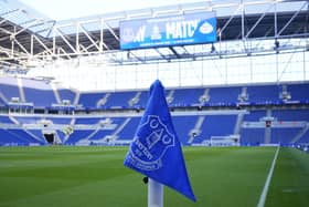 EvertonA general view of an Everton corner flag at the Hill Dickinson Stadium