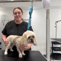 Meet the 16 year old opening her own dog grooming salon in South Shields