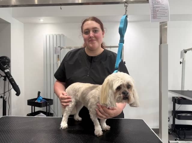 Evie is part-way through her course.
