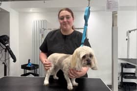 Evie is part-way through her course.