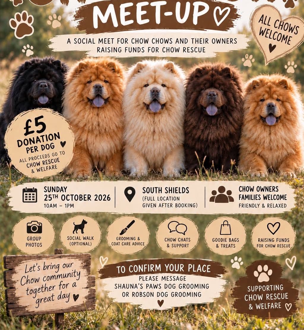 Chow Chow owners in South Tyneside invited to charity social walk