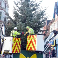 South Tyneside Council announces changes to how residents can dispose of real Christmas trees