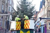 South Tyneside Council has announced changes to how residents can dispose of real Christmas trees.
