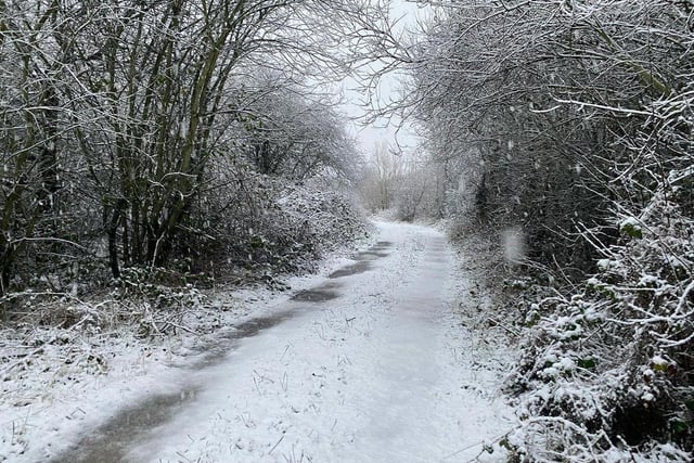 Wendy Stockdale took a whole album's worth of photos at Wintersett in the snow!