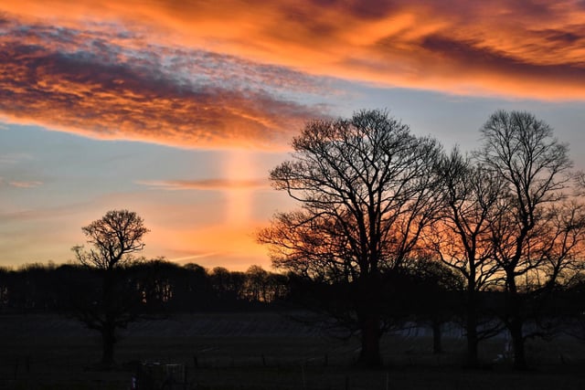 Sandra Maguire captured a whole host of photos around Newmillerdam and Kettlethorpe this week, including this stunning sunrise.