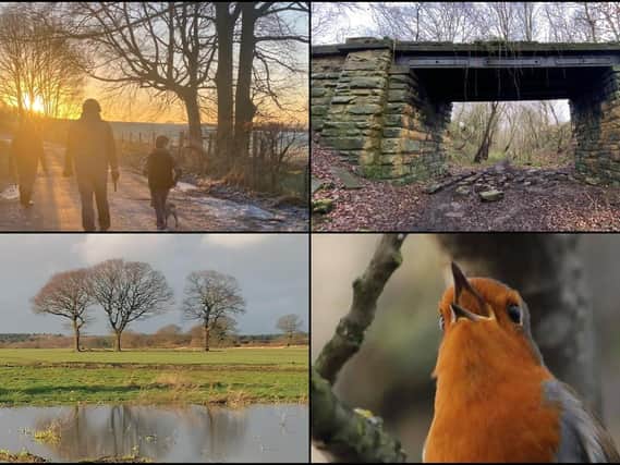 As a cold, wet January comes to an end, we're taking a look at some of the best photos taken in Wakefield and the Five Towns this week.
