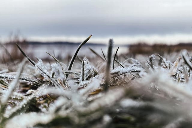 Dale Heppinstall captured a frosty morning on film with a photo of the ice at Wintersett.