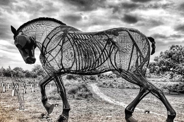 Nicola captured this stunning photo of Featherstone's War Horse under a cloudy sky.
