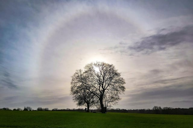 Keen photographer Sue snapped this remarkable sun halo around a tree during a walk in Ryhill.