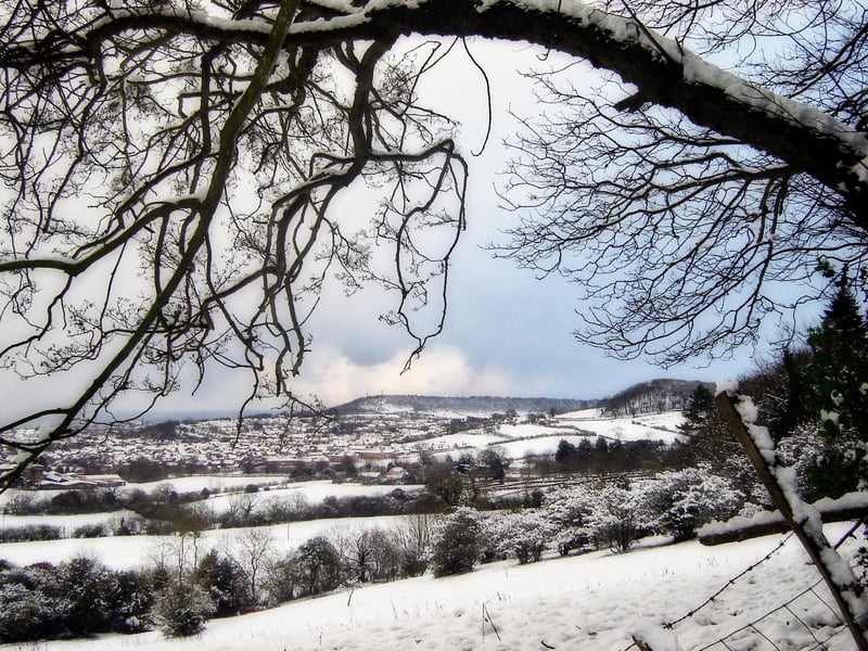 January - Oliver's Mount, by Austyn Gray