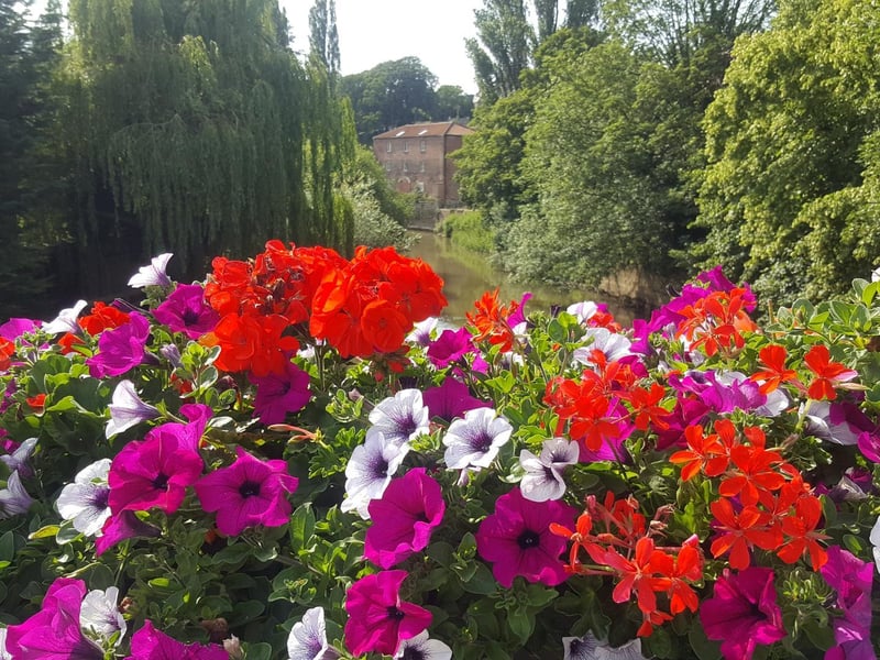June - Malton, by Nick Fletcher