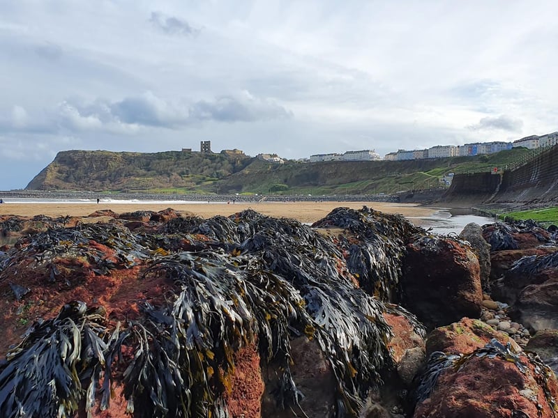May - Scarborough, by Paul Foreman
