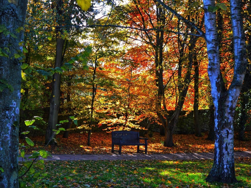 October - Helmsley, by Lauren Myers