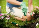 Resolutions include things like cleaning gardening tools and composting rubbish