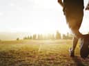 Lift your mood with a run. Photo: Adobe