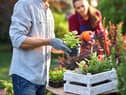 Jobs include planting summer bulbs, keeping on top of weeding and keeping slugs and snails at bay