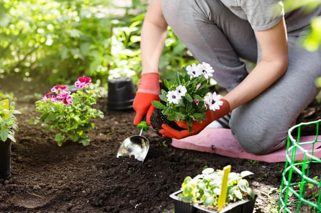 Green-fingered Brits are being offered tips on which gardening jobs they should get ahead of in March