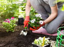 Green-fingered Brits are being offered tips on which gardening jobs they should get ahead of in March
